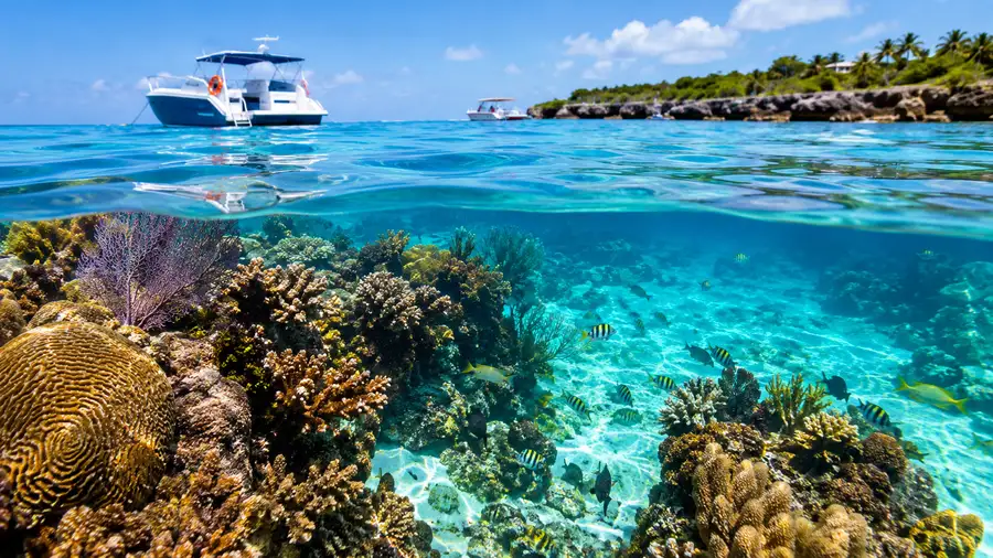 How to Get to Palancar Reef: Boats, Kayaks & Shore Access