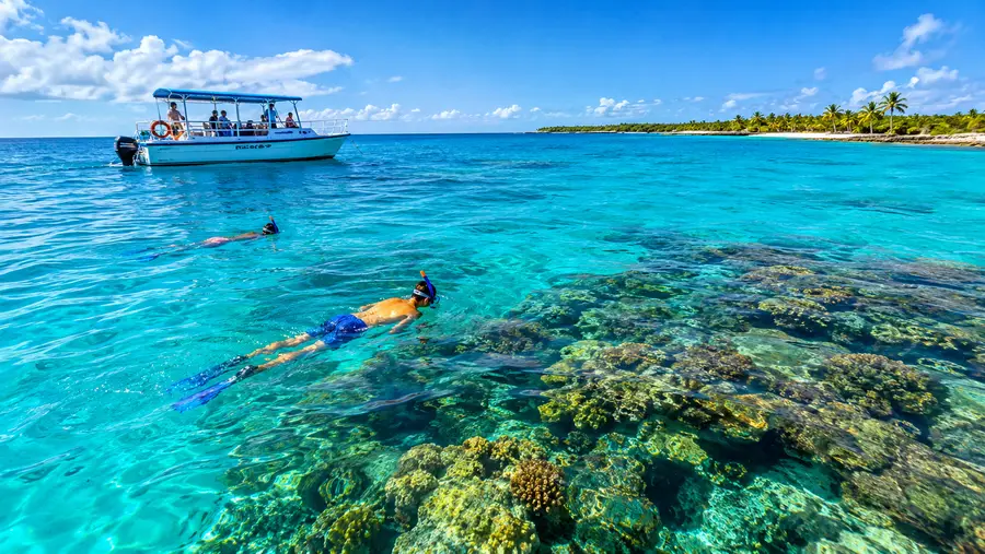 How to Get to Palancar Reef: Boats, Kayaks & Shore Access