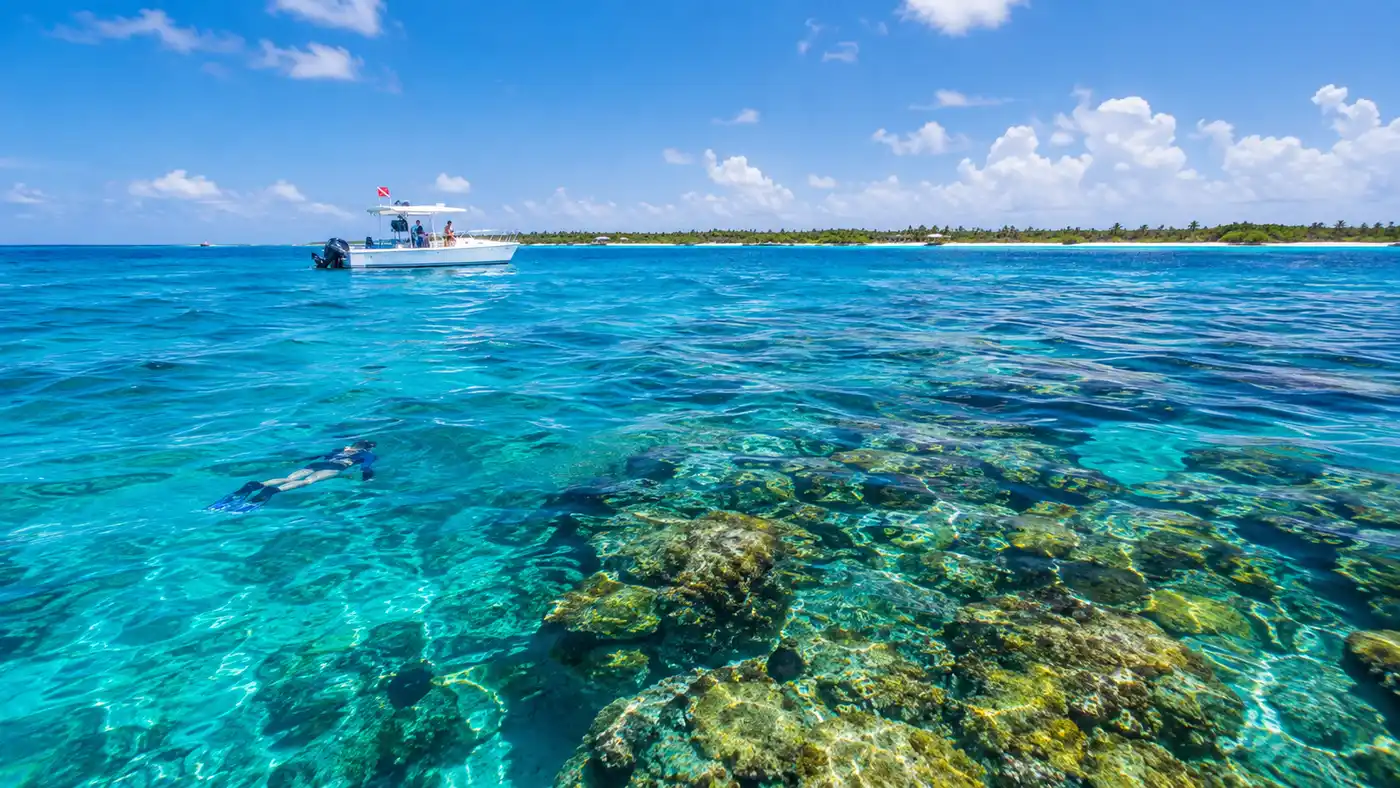 Is Palancar Reef Open? Closures, Rest Periods & Conservation Rules