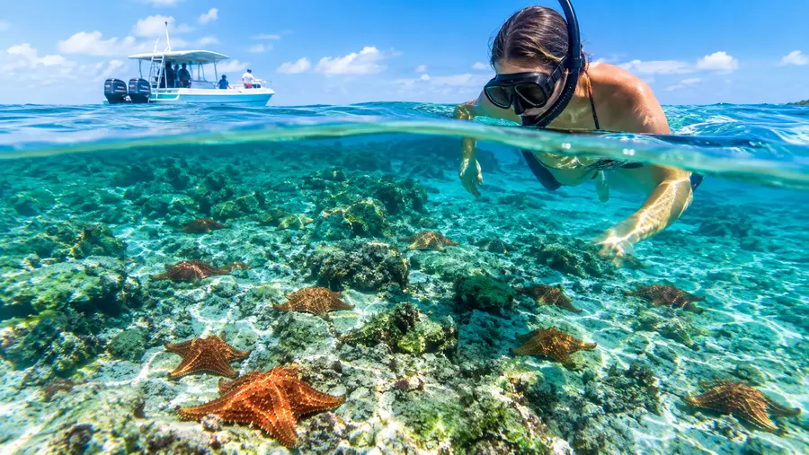 El Cielo Starfish Sanctuary & Palancar Reef Snorkel Tours